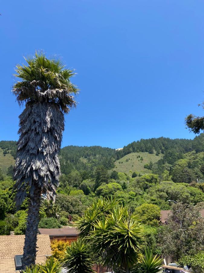 1 Belvedere Ave Muir Woods Mt Tamalpais Bolinas Lagoon Stinson Beach Extérieur photo